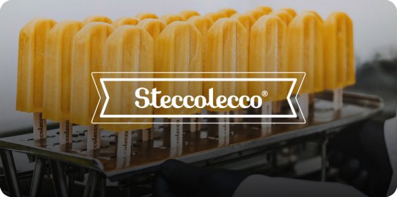 Steccolecco Logo